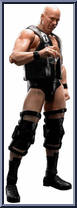 Stone Cold Steve Austin Action Figure