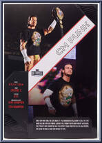 CM Punk (ECW 2006) from WWE Ultimate Edition - Exclusives manufactured by Mattel [Back]