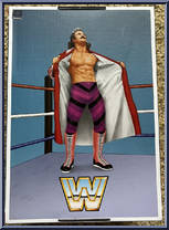 Jake the Snake Roberts / Ravishing Rick Rude from WWE Ultimate Edition - Coliseum Collection manufactured by Mattel [Back]
