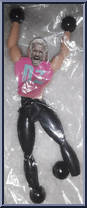Dolph Ziggler Action Figure