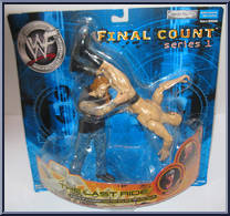 The Last Ride (Undertaker vs. Steve Austin) Action Figure
