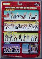 Gangrel from WWF Summer Slam 99 - Road Rage manufactured by Jakks Pacific [Back]