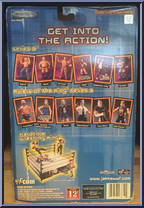 Raven from WWF Titan Tron Live - No Way Out - Series 2 manufactured by Jakks Pacific [Back]