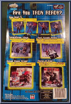 Matt Hardy from WWF Titan Tron Live - Raw Heat - Series 3 manufactured by Jakks Pacific [Back]