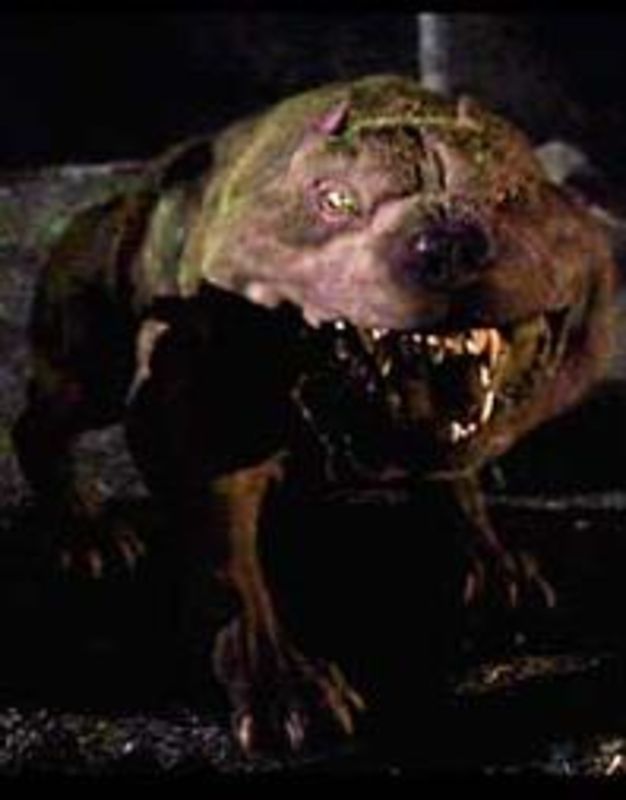 Hulk Dog Character Profile