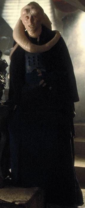 bib fortuna