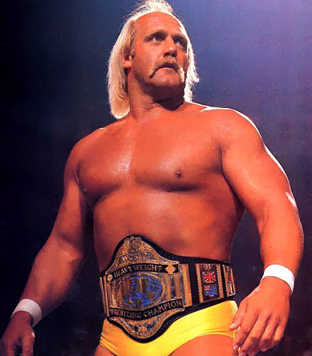 Hulk Hogan Character Profile