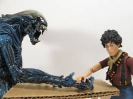 Xeno-humor Comic Strip Panel #3
