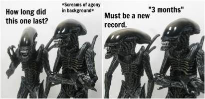 A brief study in the peculiar behavioral traits of the Xenomorph Comic Strip Panel #12