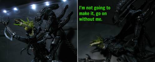 A brief study in the peculiar behavioral traits of the Xenomorph Comic Strip Panel #19