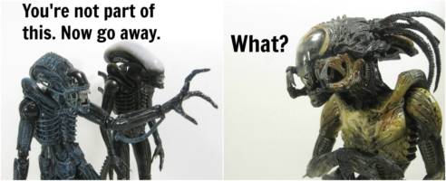 A brief study in the peculiar behavioral traits of the Xenomorph Comic Strip Panel #7