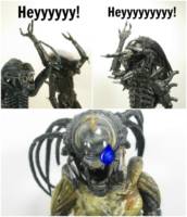 A brief study in the peculiar behavioral traits of the Xenomorph Comic Strip Panel #8