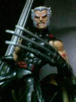 Wolverine (Marvel Legends) Custom Action Figure