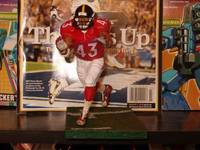 Troy Polamalu Pro Bowl (NFL) Custom Action Figure