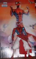 Spider-Man India (Spider-Man) Custom Action Figure