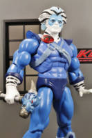 Thundercats Classics Bengali figure (V3) (Thundercats) Custom Action Figure