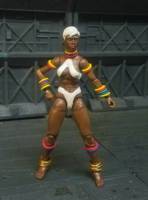 Dudley and Elena (Street Fighter) Custom Action Figure