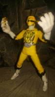 S.H.Figuarts Zyuoh Lion (Power Rangers) Custom Action Figure