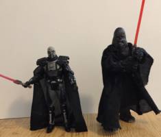 Darth Grauwen (Wookie Sith) (Star Wars) Custom Action Figure