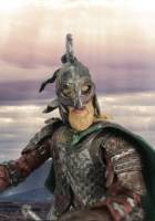 Gunna, the Rohirrim Standard Bearer (Lord of the Rings) Custom Action Figure