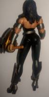 Donna Troy (Total Justice) Custom Action Figure