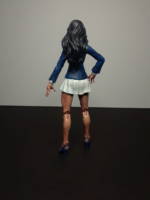 Lois Lane (DC Universe) Custom Action Figure
