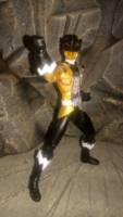 S.H. Figuarts Zyuoh The World (Power Rangers) Custom Action Figure