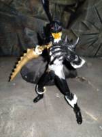 S.H. Figuarts Zyuoh The World (Power Rangers) Custom Action Figure