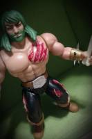 Savage World Platino (Masters of the Universe) Custom Action Figure