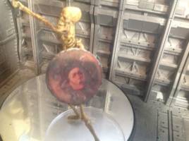 Skeleton from "Jason and the Argonauts" (Horror) Custom Action Figure
