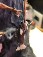 Gollum's Cave (Lord of the Rings) Custom Action Figure