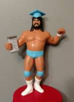 The Genius Lanny Poffo (Wrestling) Custom Action Figure