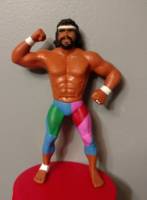 Tama (Wrestling) Custom Action Figure