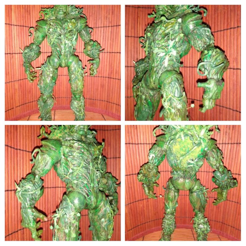 Swamp Thing (DC Direct) Custom Action Figure - 104285 4 5e55De655f280