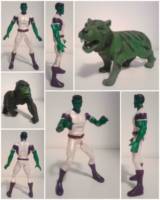 Beast Boy (Teen Titans) Custom Action Figure