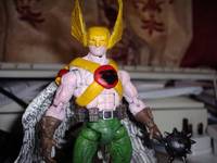 Hawkman (DC Universe) Custom Action Figure