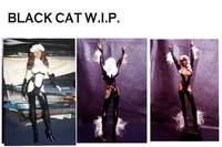 Black Cat (Avengers) Custom Action Figure