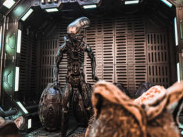 Neill Blomkamp's Alien 5 Ripley Concept (Aliens) Custom Action Figure