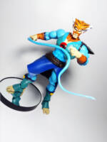 Tygra MOTUC (Thundercats) Custom Action Figure