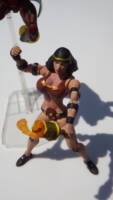 D.C. Legends Big Barda/ Mr. Miracle 2-pack (DC Universe) Custom Action Figure