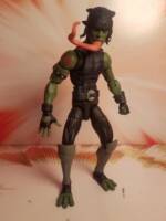 ultimate toad (Marvel Legends) Custom Action Figure