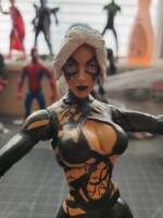 Symbiote Black Cat (Web of Shadows) (Marvel Legends) Custom Action Figure