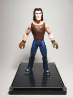 Casey Jones 200x style (Teenage Mutant Ninja Turtles) Custom Action Figure