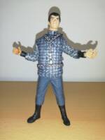 Romulan Commander (Star Trek TNG) (Star Trek) Custom Action Figure