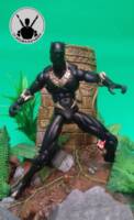Black Panther (Marvel Universe) Custom Action Figure