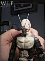 Kamen rider (Kamen / Masked Riders) Custom Action Figure