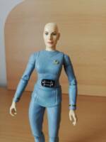 Ilia (Star Trek I: The Motion Picture) - DST (Star Trek) Custom Action Figure