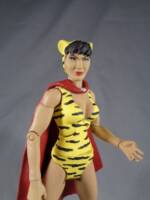 Huntress (Paula Brooks) (DC Universe) Custom Action Figure