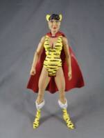 Huntress (Paula Brooks) (DC Universe) Custom Action Figure