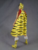 Huntress (Paula Brooks) (DC Universe) Custom Action Figure